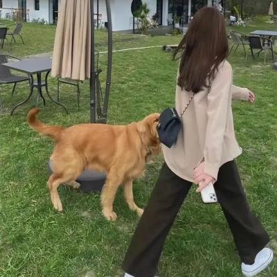 冷月伴君归